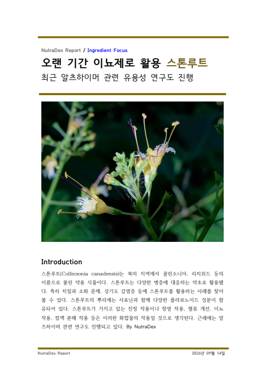 오랜 기간 이뇨제로 활용 스톤루트