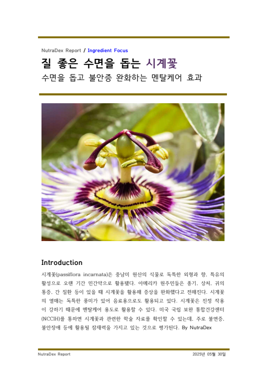 기능성 허브 탐구_질 좋은 수면을 돕는 시계꽃
