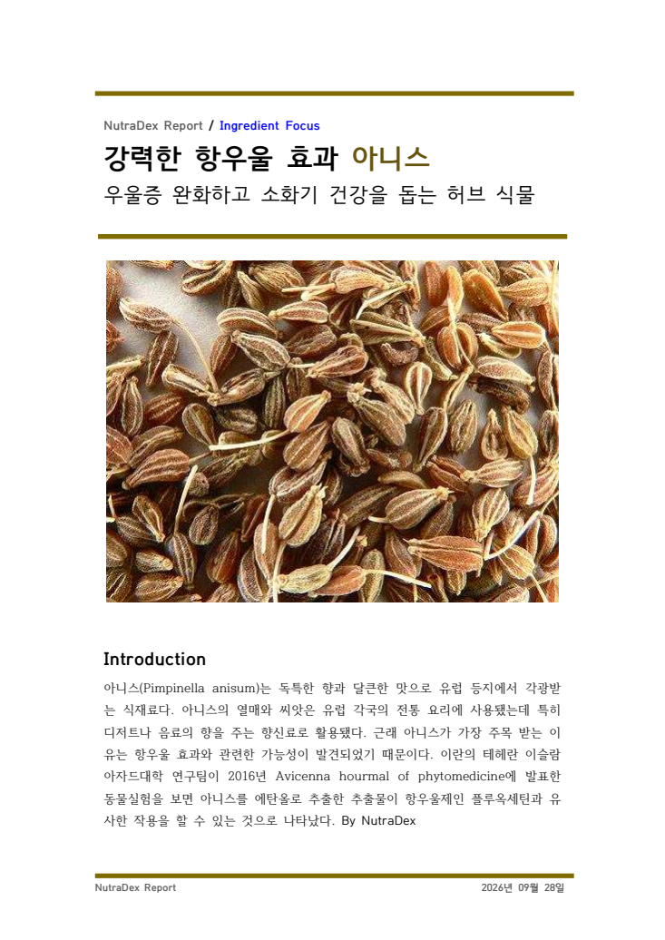 기능성 허브탐구_강력한 항우울 효과 아니스