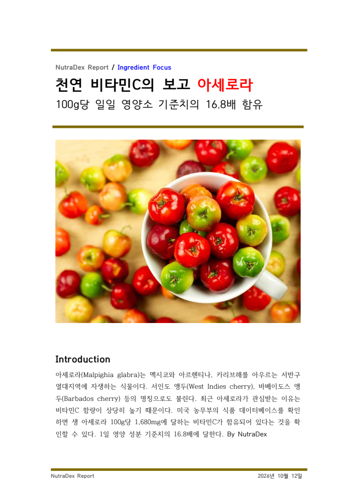 기능성 허브 탐구_천연 비타민C의 보고 아세로라