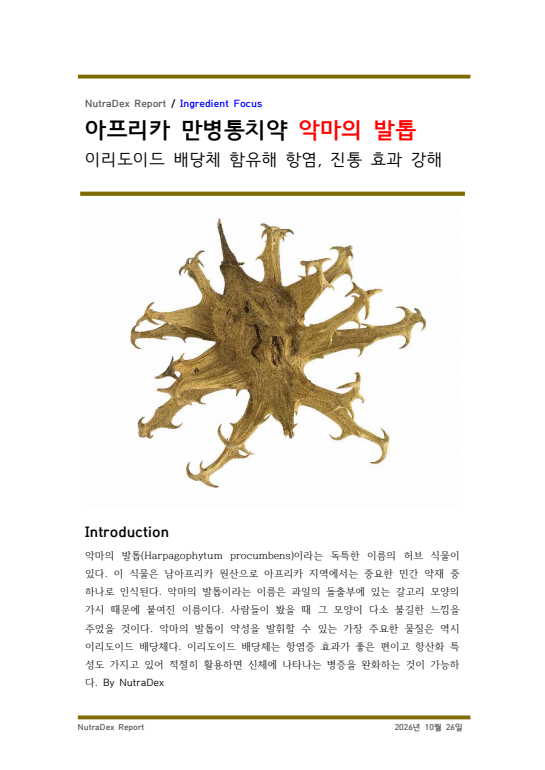 기능성 허브 탐구_아프리카 만병통치약 악마의 발톱